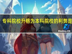 专科院校升格为本科院校的利弊是什么