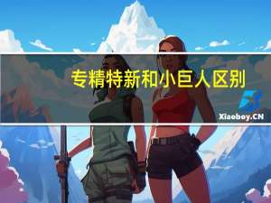 专精特新和小巨人区别