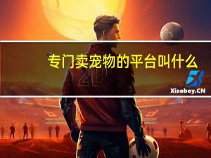 专门卖宠物的平台叫什么