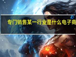 专门销售某一行业是什么电子商务