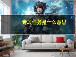 专项任务是什么意思
