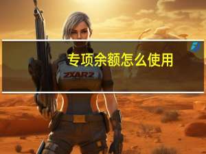专项余额怎么使用