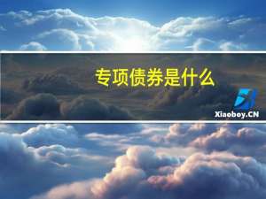 专项债券是什么