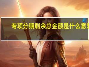专项分期剩余总金额是什么意思