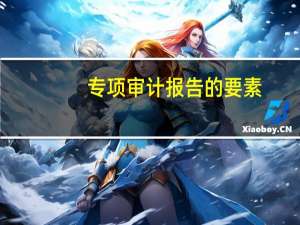 专项审计报告的要素