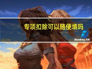 专项扣除可以随便填吗