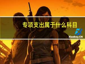 专项支出属于什么科目