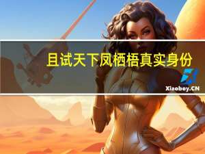 且试天下凤栖梧真实身份