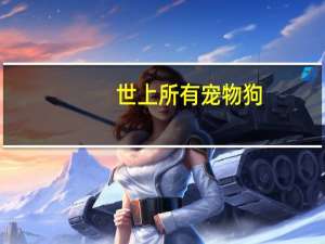 世上所有宠物狗