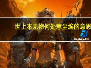 世上本无物何处惹尘埃的意思