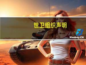 世卫组织声明：强烈谴责对加沙浸信会医院的空袭
