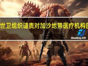 世卫组织谴责对加沙地带医疗机构的袭击