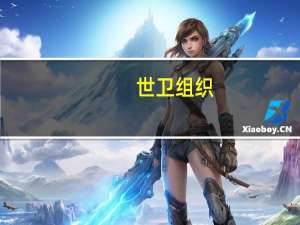 世卫组织：多种流行病在苏丹周边国家难民营蔓延 致大量儿童死亡