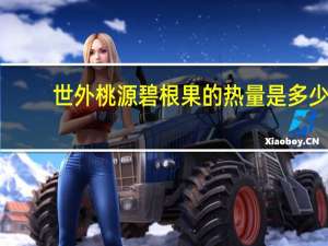 世外桃源 碧根果的热量是多少
