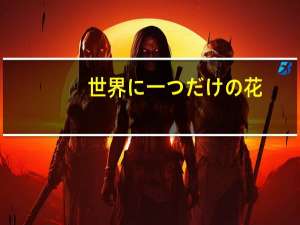 世界に一つだけの花