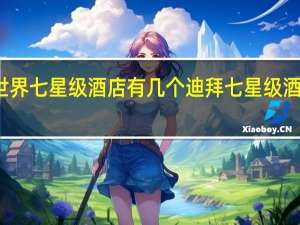 世界七星级酒店有几个 迪拜七星级酒店图片