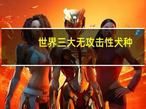 世界三大无攻击性犬种
