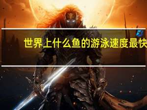 世界上什么鱼的游泳速度最快