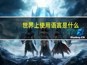 世界上使用语言是什么