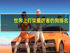 世界上打架最厉害的狗排名
