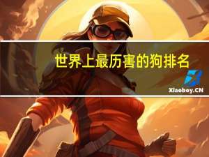 世界上最历害的狗排名