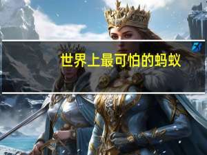 世界上最可怕的蚂蚁