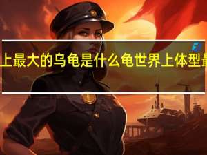 世界上最大的乌龟是什么龟 世界上体型最大的乌龟