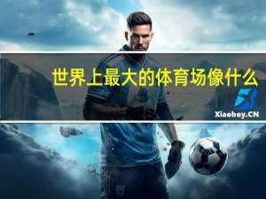 世界上最大的体育场像什么