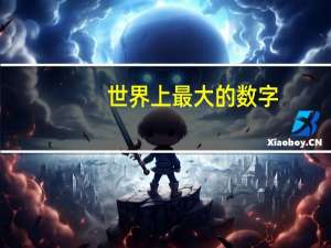 世界上最大的数字