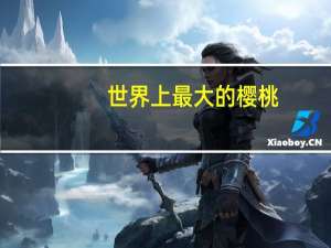 世界上最大的樱桃