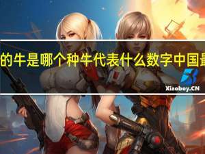 世界上最大的牛是哪个种牛代表什么数字 中国最牛的数字是多少