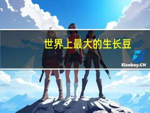 世界上最大的生长豆