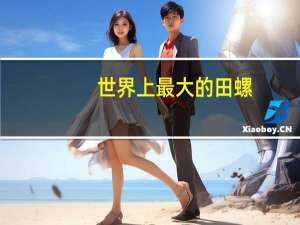 世界上最大的田螺