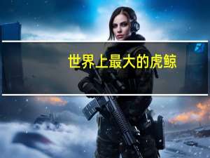 世界上最大的虎鲸