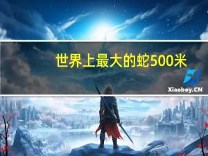 世界上最大的蛇500米