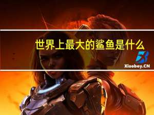 世界上最大的鲨鱼是什么