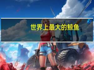 世界上最大的鲸鱼
