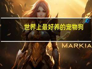 世界上最好养的宠物狗