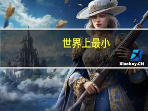 世界上最小。