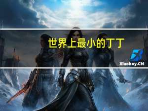 世界上最小的丁丁