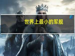 世界上最小的军舰