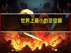 世界上最小的定位器
