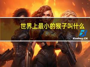 世界上最小的猴子叫什么