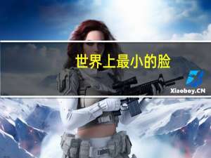 世界上最小的脸