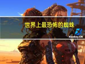 世界上最恐怖的蜘蛛