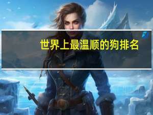 世界上最温顺的狗排名