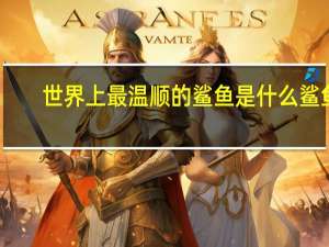 世界上最温顺的鲨鱼是什么鲨鱼