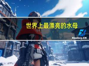 世界上最漂亮的水母