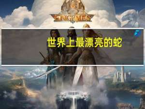 世界上最漂亮的蛇