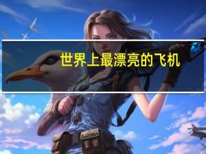 世界上最漂亮的飞机